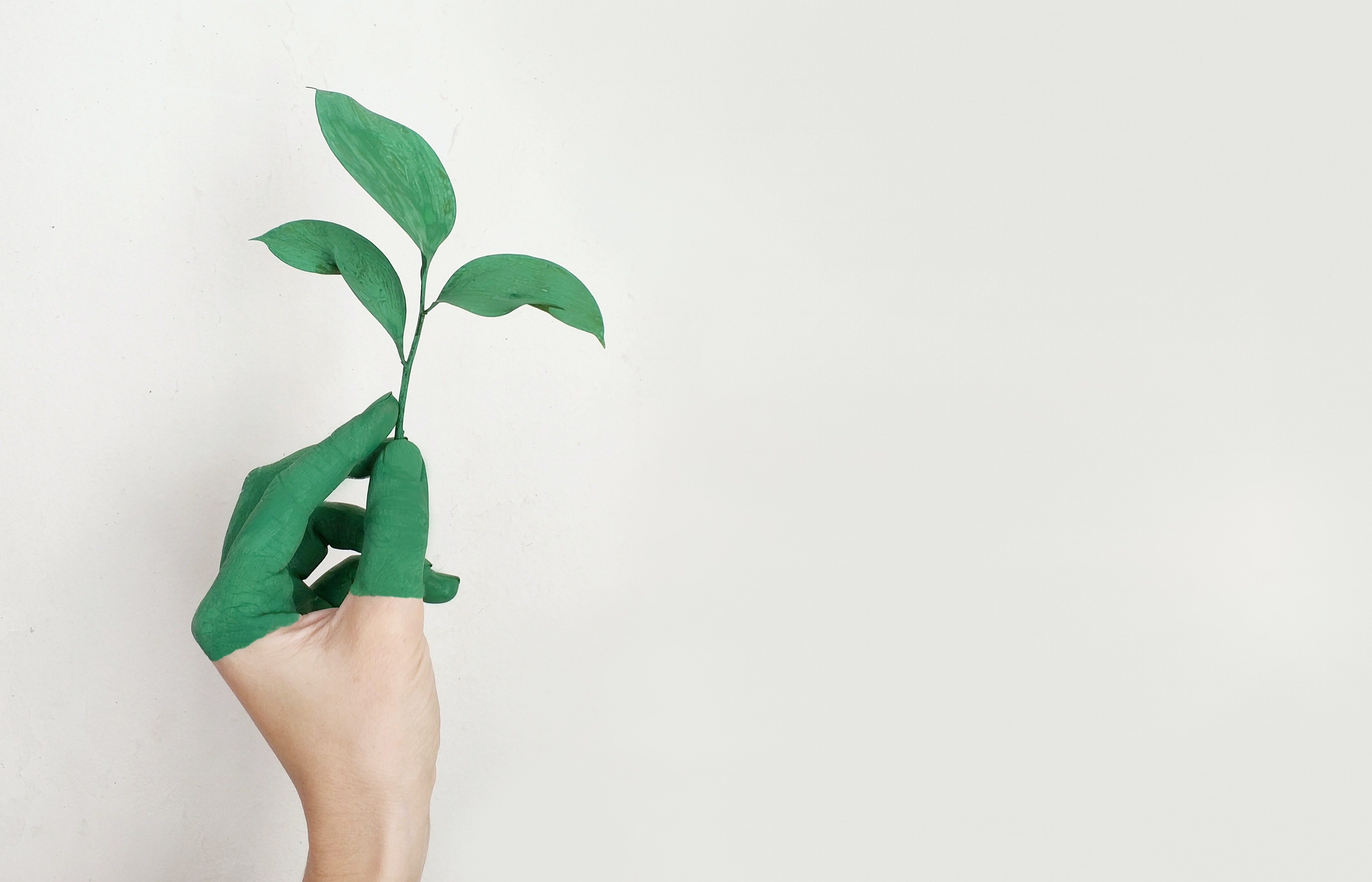 How implementing an ERP system can drive sustainability in your organisation