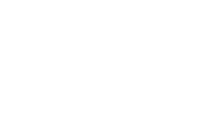 Microsoft Partner